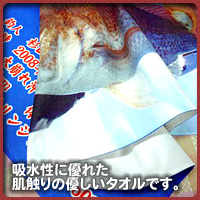 �I���W�i������^�I��